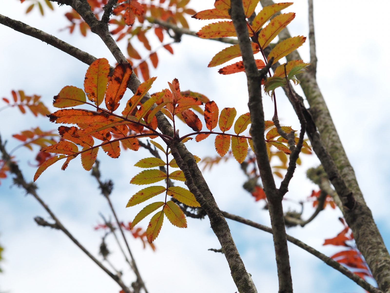Ten Things I Love About Autumn