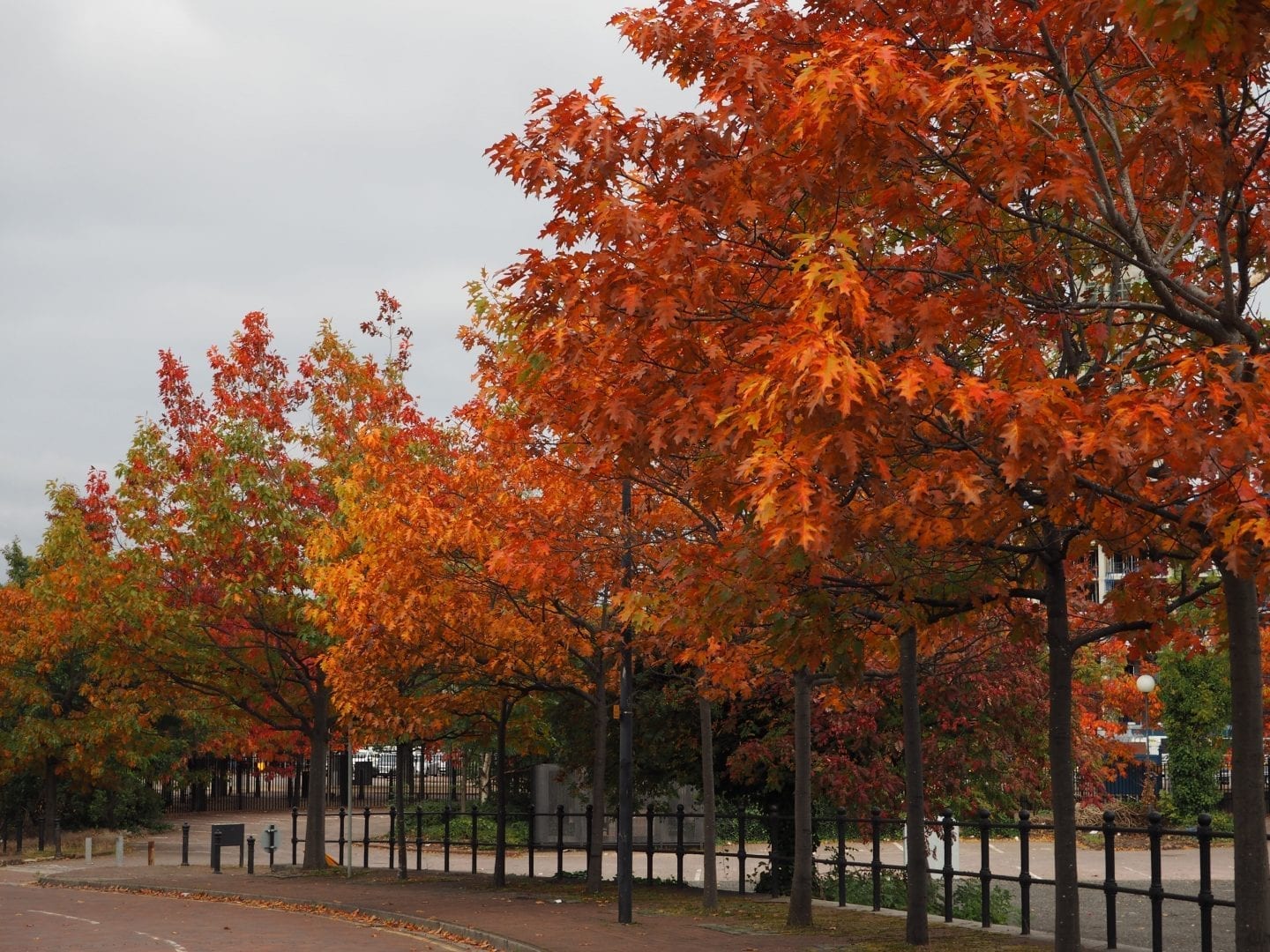 20 Things To Do In Autumn