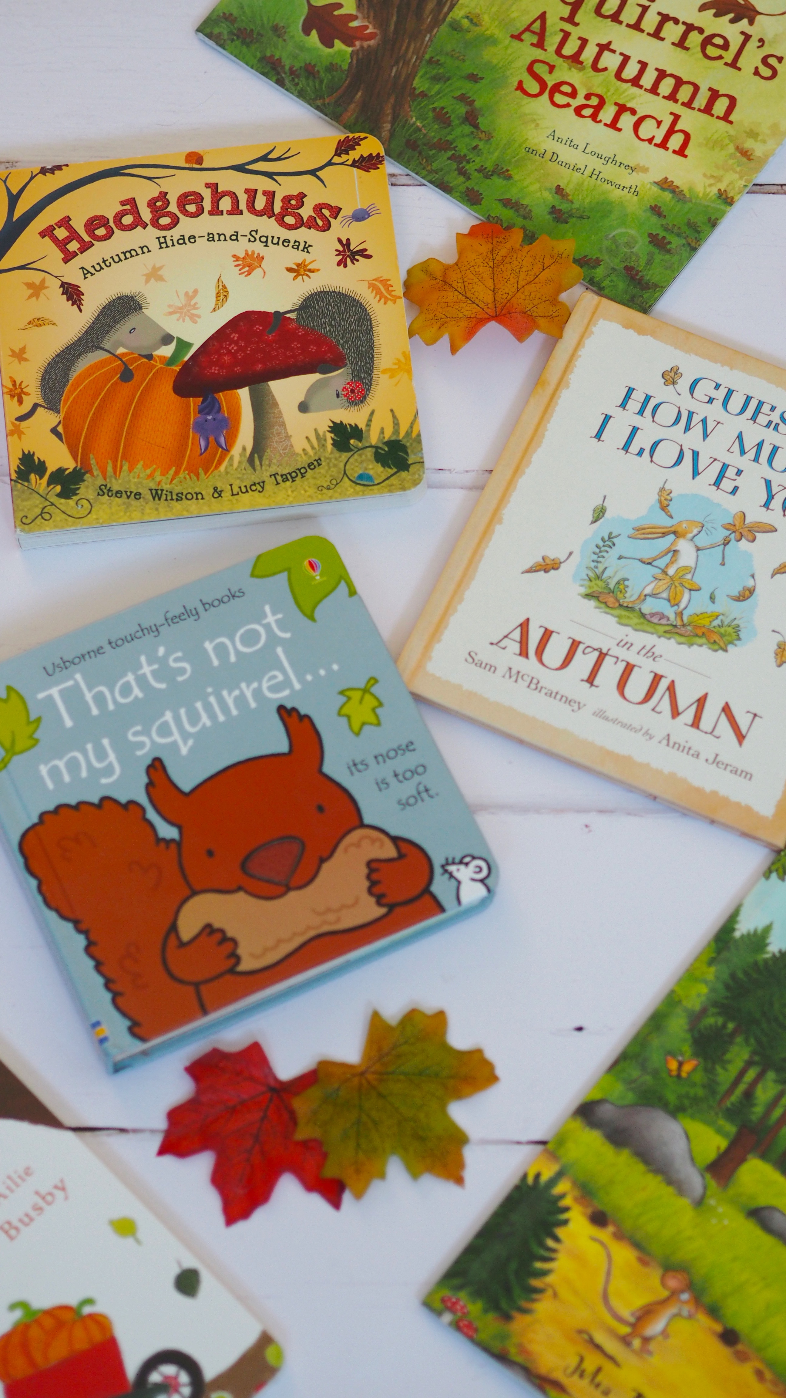 Autumn Books For Toddlers | The best autumn books to help your toddler understand about Autumn.