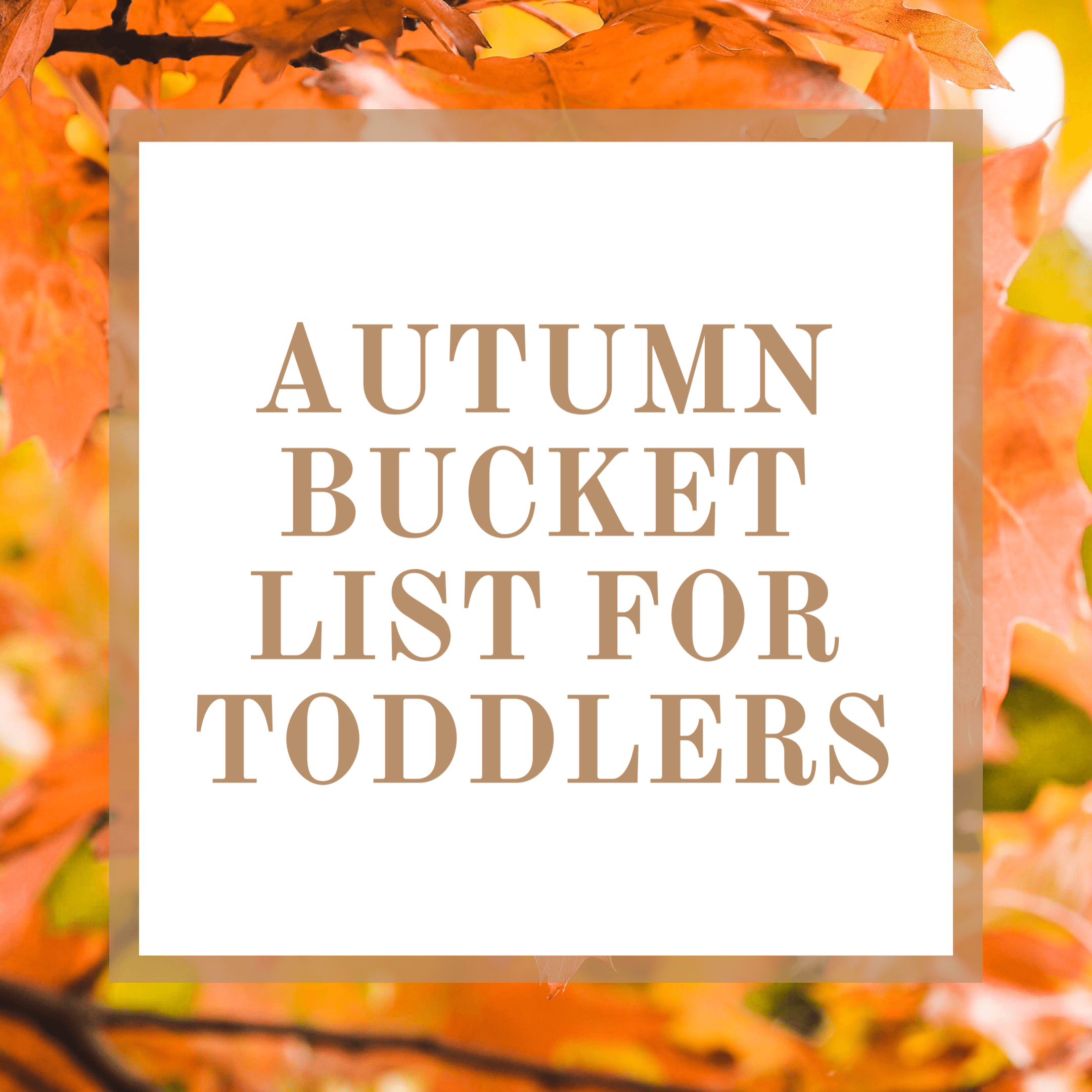 Autumn Bucket List For Toddlers | Are you looking for some fun activities this Autumn for your toddler? Find out what is on our Autumn Bucket List for Toddlers