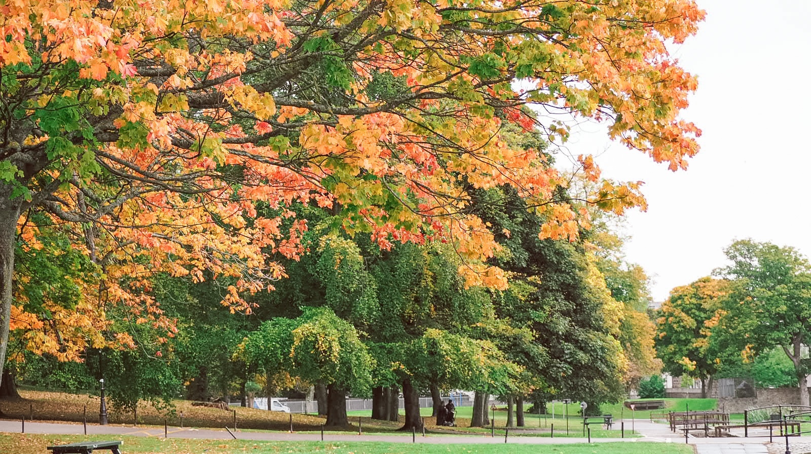 Things to do in Autumn | Take photos of nature