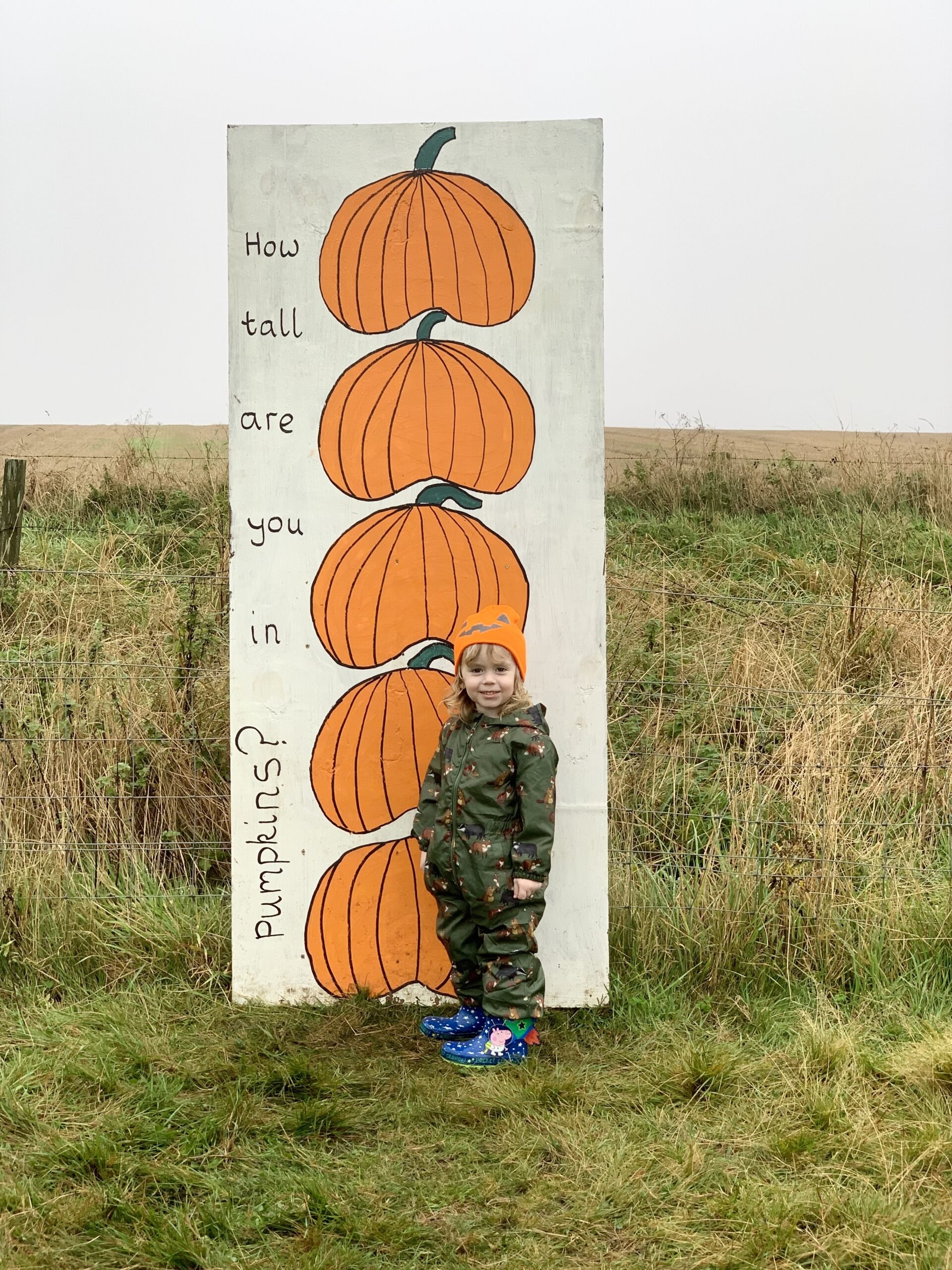 Pumpkin Patch | Things To Do In October